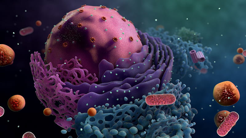the movieflix screenshot